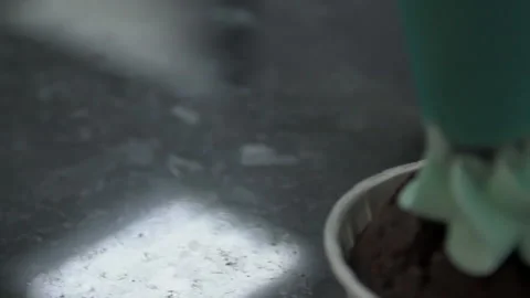 Close up of muffin is being decorated with lime cream in confectionery shop. Stock Footage 85677575