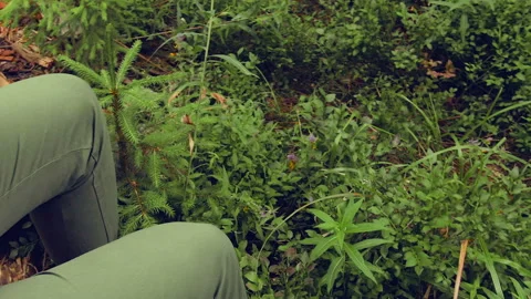 Close-up of mug in hands of girl in forest. Stock Footage 112608233