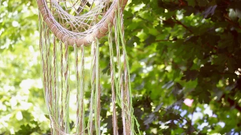 Close-up of a multi-colored hand-woven macrame dreamcatcher hanging on a branch Stock Footage 118139861