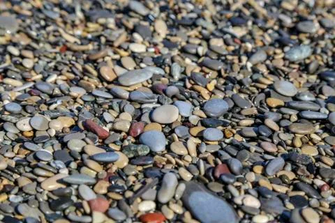 Close up of multi-coloured pebbles on a beach - focused on grey flat stone in Stock Photos