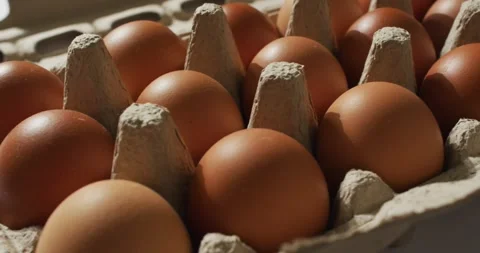 Close up of multiple eggs in a cardboard box on white surface Stock Footage 336957033