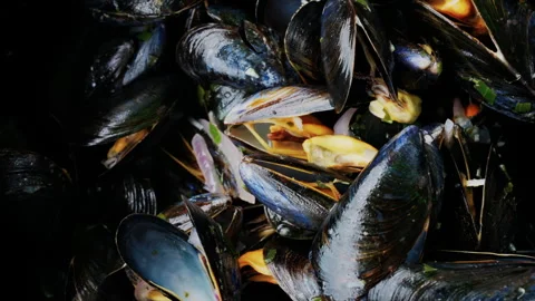 Close up of multiple steamy mussels in a pot Stock Footage 311539974