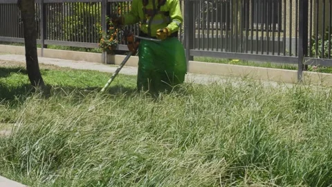 Close-up of a municipal gardener using a saw to trim overgrown weeds 库存影片 150295460