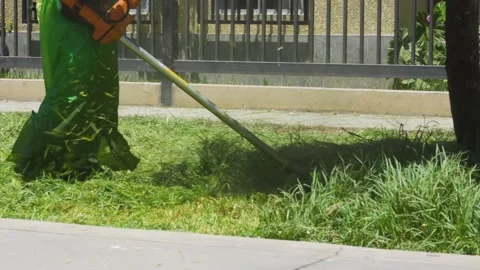 Close-up of a municipal gardener using a saw to trim overgrown weeds Video stock 150296398