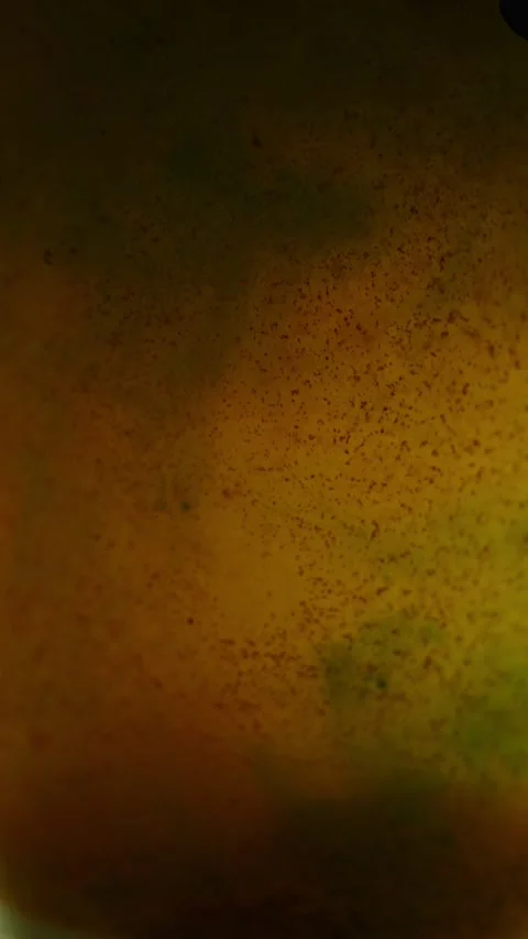 Close-up of a murky orange-brown liquid filled with dense rust particles 스톡 동영상 340637438