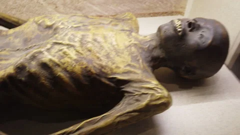 Close up on a museum exhibit of a preserved mummy Video stock 157344591