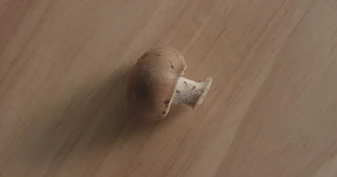 Close-up mushroom on table Stock Footage 146422182