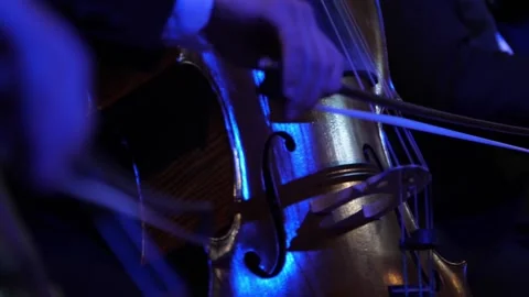 Close-up of the musicians playing cellos at the evening event Stock Footage 153089790