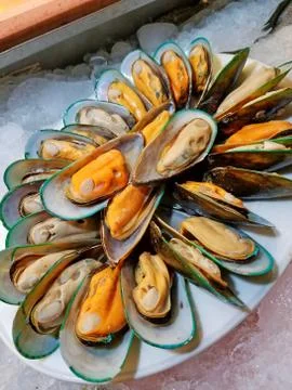 Close up of mussels on white dish (Shellfish) Foto stock