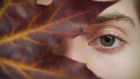 Close up of mysterious Man's face covered by autumn leaf.  Boy opening blue eye. Stock Footage 142908548