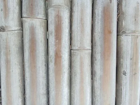 Close-Up of Natural Bamboo Texture Background Stock Photos