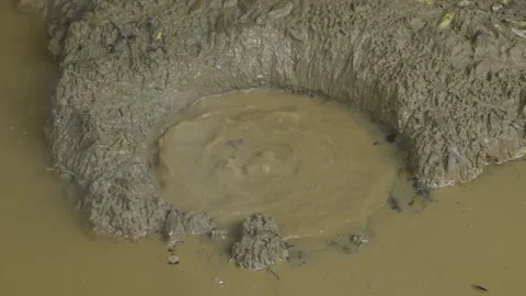 Close up of a natural boiling mud pot bubbling due to geothermal activity. 库存影片 337218950