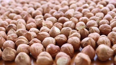Close up natural fresh hazelnuts Stock Footage 138062900