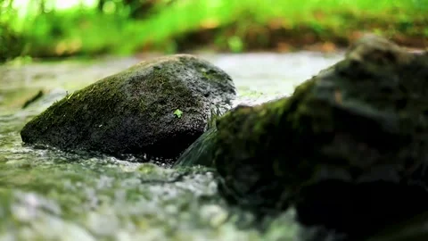 Close up of natural river water flowing Stock Footage 150215537
