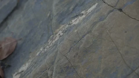 Close-Up of Natural Rock Surface with Visible Layering Stock Footage 289639717