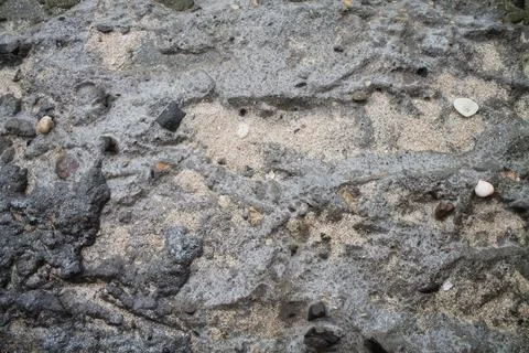 Close-Up Natural Texture of Sandy Gray Ground with Stones and Shell Fragments Stock Photos