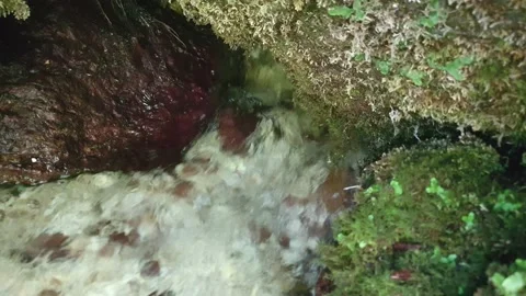 Close up of a natural water source on mountain Stock Footage 141200653