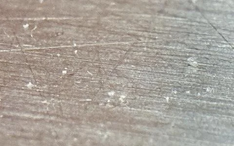Close up of natural wood texture surface with fine grain and small debris p.. Stock Photos
