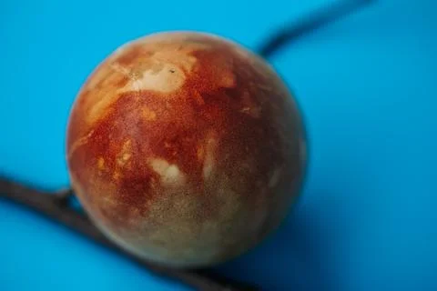 Close-up of a naturally dyed Easter egg with a rich marbled texture. Foto stock