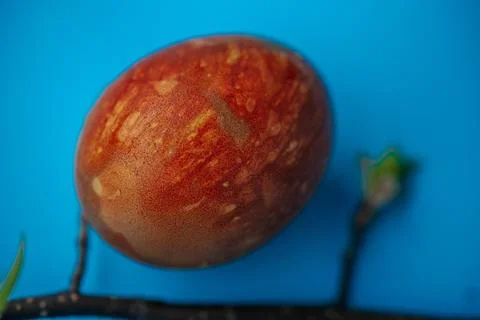 Close-up of a naturally dyed Easter egg with a rich marbled texture. 스톡 사진