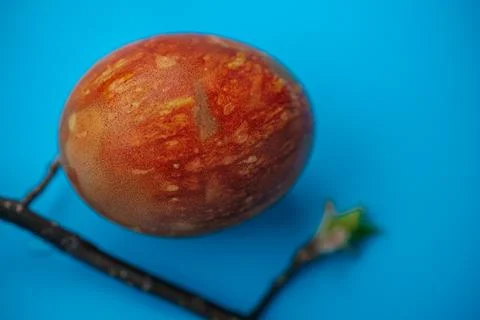 Close-up of a naturally dyed Easter egg with a rich marbled texture. Foto stock