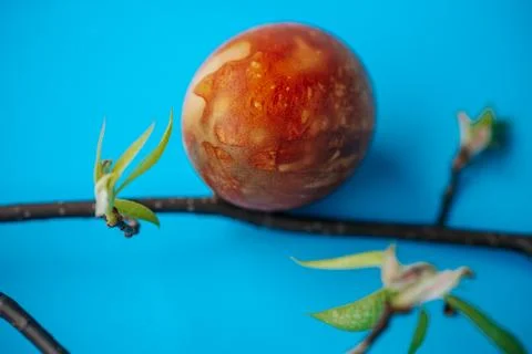 Close-up of a naturally dyed Easter egg with a rich marbled texture. Foto stock