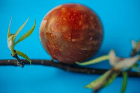 Close-up of a naturally dyed Easter egg with a rich marbled texture. 库存照片