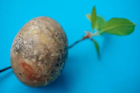 Close-up of naturally dyed Easter eggs with an earthy marble. Stock Photos