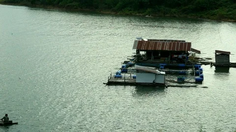 Close to nature Stock Footage 116370957