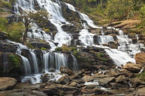 Close up nature Stock Photos
