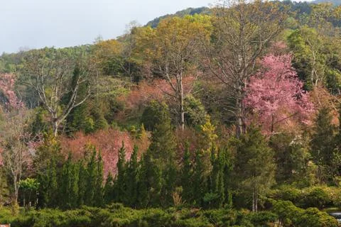 Close up nature Stock Photos