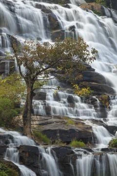 Close up nature Foto stock