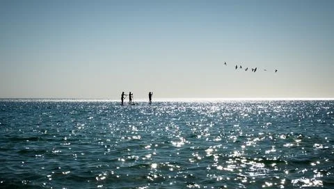 Close to the nature Stock Photos