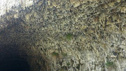 Close up nature wall background, stone backdrop Stock Photos