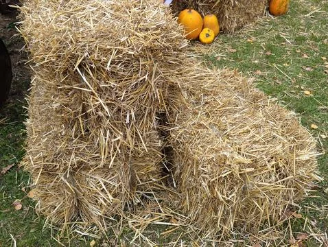 Close-up of neat haystacks Stock Photos