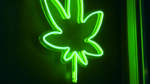 Close up of neon green marijuana leaf logo glowing on the wall of cannabis shop Stock Footage 288010646