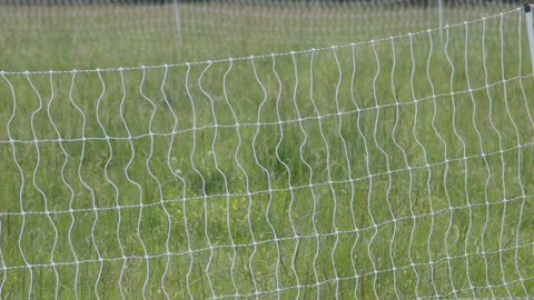 Close-up net in field Stock Footage 198072881