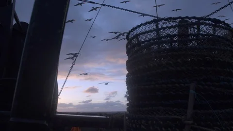 Close up of nets on boat and seagulls flying above sea, United States Stock Footage 138892774