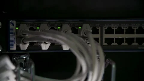Close-up of network cables connected to a switch with green status lights Stock Footage 283730601