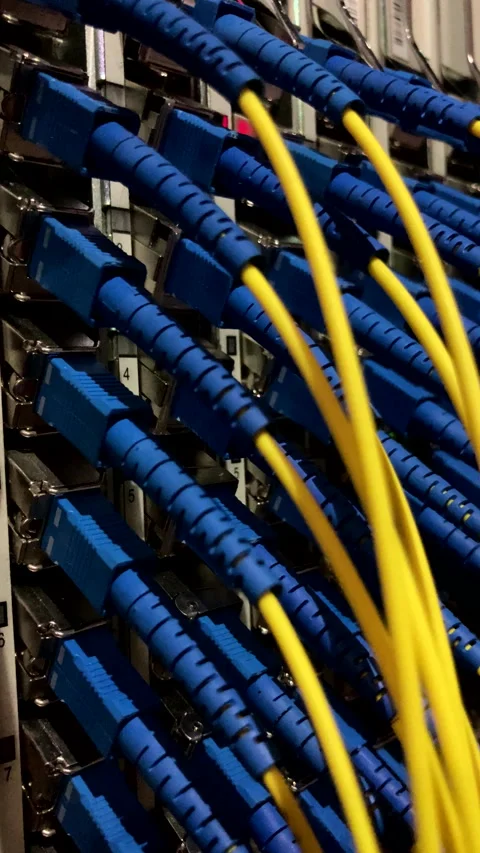 Close-up of network cables connected to a switch. Stock Footage 330792482