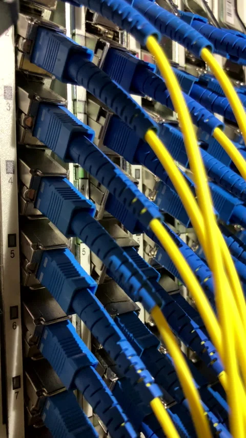 Close-up of network cables connected to a switch. Stock Footage 334324638
