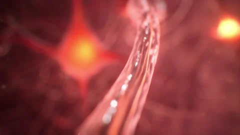 Close Up Neural Network Neurons Vidéo 130206572