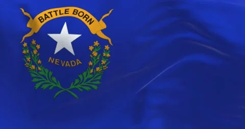 Close-up of the Nevada state flag waving in the wind Video stock 233789091