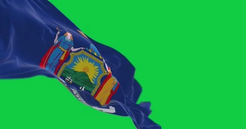 Close-up of New York State flag waving isolated on green background Stock-Footage 271151618