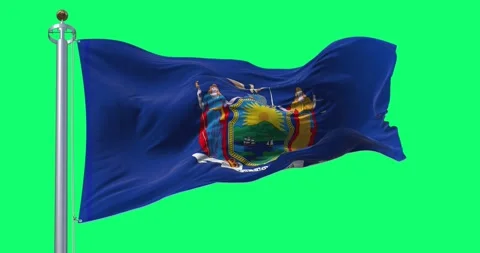 Close-up of New York State flag waving isolated on green background Stock Footage 297517347