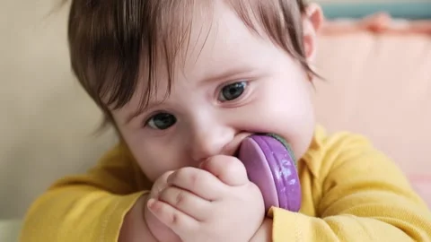 Close up nice baby age of 9-10 months eats fruits by using nibbler Stock Footage 144666531