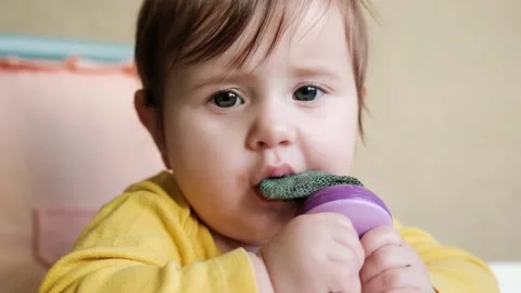 Close up nice baby age of 9-10 months eats fruits by using nibbler Stock Footage 144667025