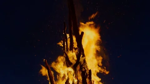 Close - up of Night Bonfire Flames Stock Footage 316060423