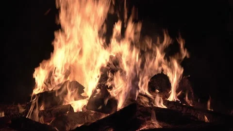 Close-up of night campfire, flames from the fire. Night bonfire Stock Footage 154516677