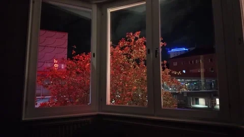 Close Night View through Window of Red Trees, Neon Sign, and Brick Building Vídeos de archivo 347682304